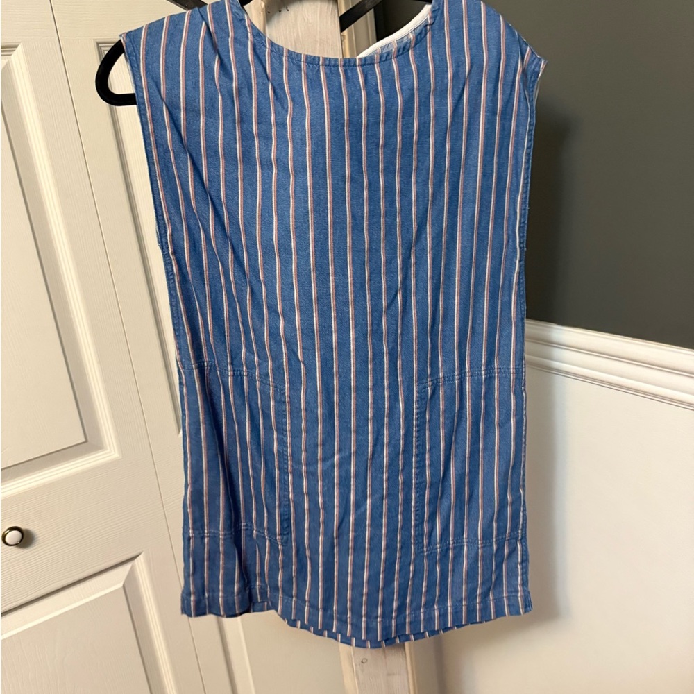 Wilfred Blue and Pink Striped dress